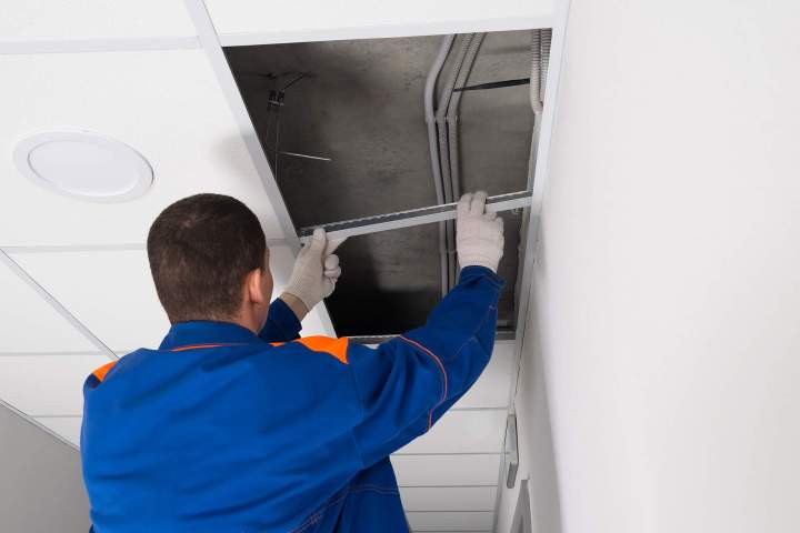 Pose plaque de plâtre Saint-Omer